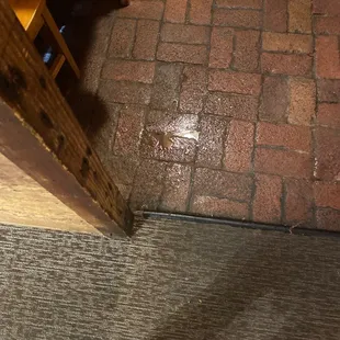 a person standing on the floor