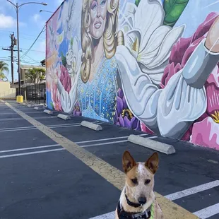 My dog did not attend the show but we love the mural at strut!