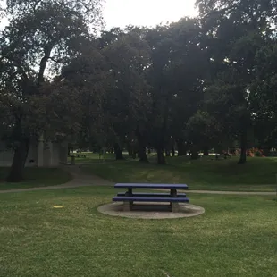 Just relax and have a picnic...