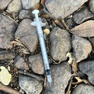 Needle in parking lot