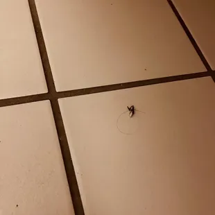 Other peoples hair. Its so f-ing disgusting