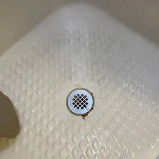 Black shower drain