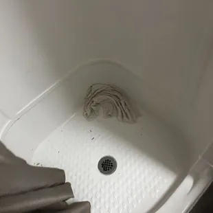 Dirty shower