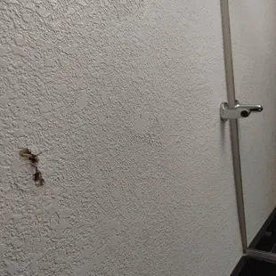 Yup, whole on the wall