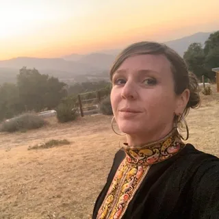 Araya D.