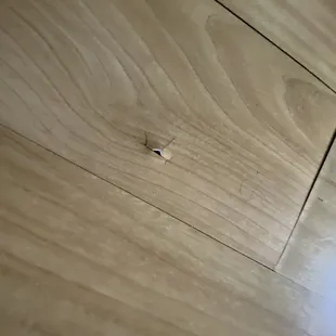 buckling floor, cut my toe.