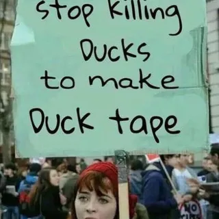 K S.