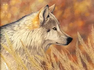 Weems Gallery and Framing