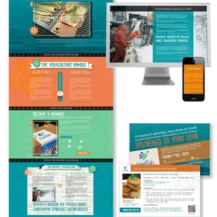 Website design that elevates, from Studio Hill Design.