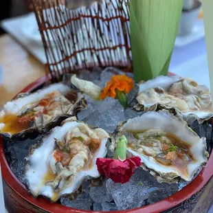 Pacific (fanny bay oysters) on half shell