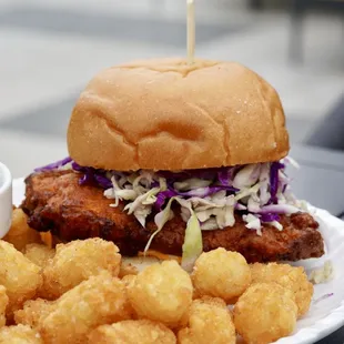 Study Hall Chicken Sandwich