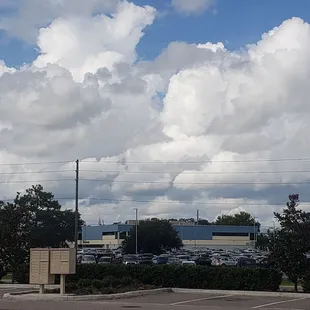 You can see Cinderella Castle at a distance from here.