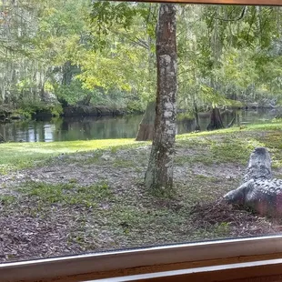 a view of a river through a window