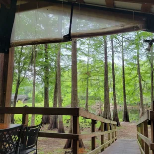 View from the porch