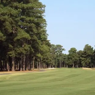 a green with trees in the background