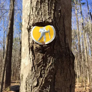 Trail marker