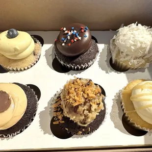 2024 Sweet Shack Lemon Blueberry, Death by Chocolate, Coconut,Peanut Butter, German Chocolate, Caramel.