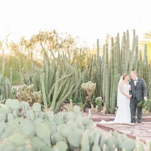 Desert Botanical Gardens wedding