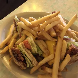 Club with fries