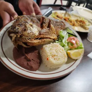 Fish!