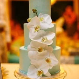 Sue decorated our cake perfectly!