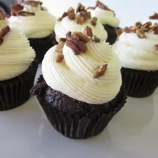 Chocolate cupcakes and Vanilla frosting