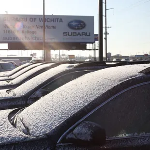 Snow is pretty, even on April 24th!