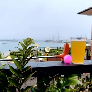 View from the patio!