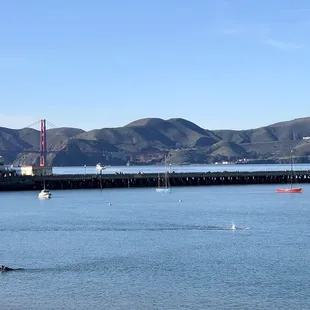 Golden Gate in the distance.