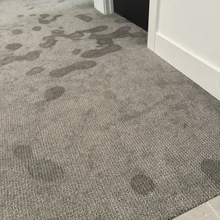 Flooded basement