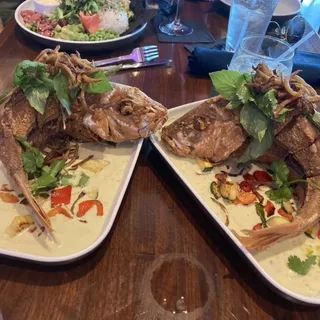 Green Curry Red Snapper