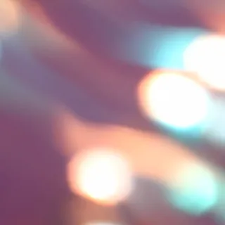 Y K.