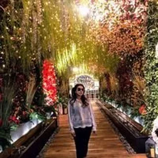 Arsala K.