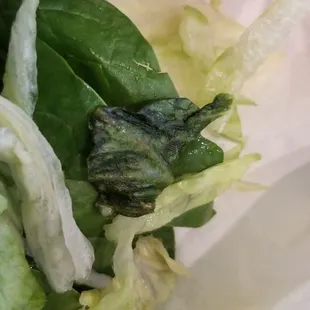 Rotten spinach??