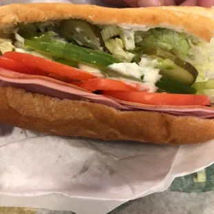 a person holding a sub sandwich in their hand