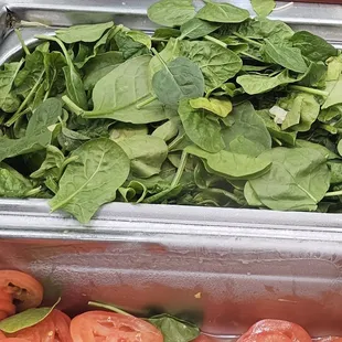 Damaged spinach brown leaves and soggy Cucumbers and tomatoes