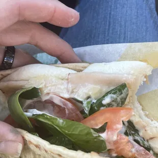 Turkey w pepper Jack on pita bread