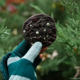 a hand holding a chocolate cookie with sprinkles