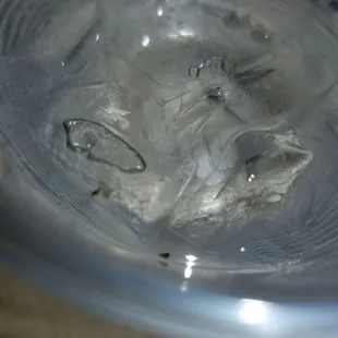 Moldy water
