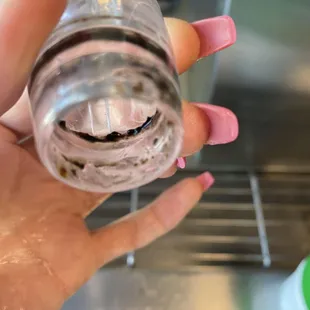 Really!? black mold in the fountain drinks station. I only pulled it off because it was clear and I noticed the thick black ring.