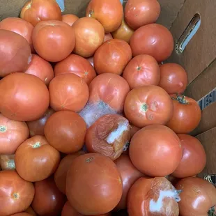 a cardboard box full of tomatoes