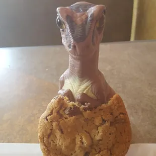 Bob the Raptor Says "These Mammals have Cookie Prey!!"