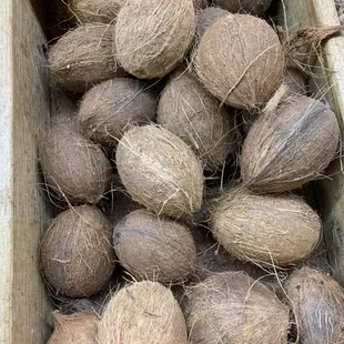 Coconut Dry at Store!