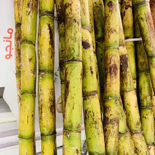 Fresh Sugarcane Juice