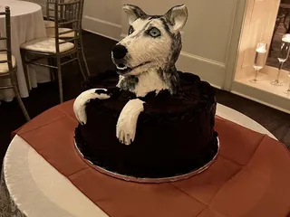 Zoe's Bakery