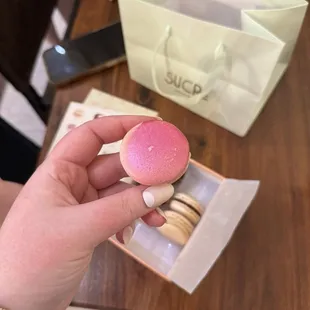 Strawberry Macaron