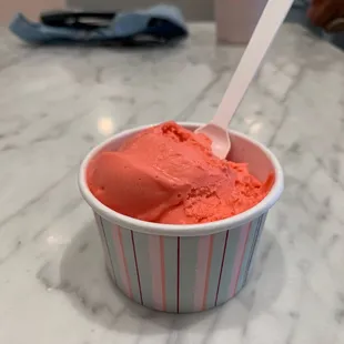 Gelato (Small - Nectar Cream)