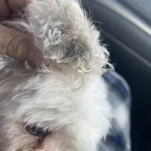 She smells like she never had a bath