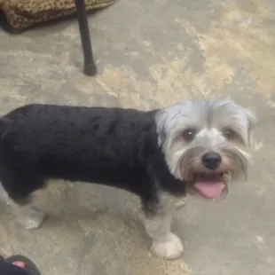 Bella,  looking pretty!