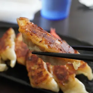 Gyoza